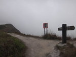 衞奕信徑9段, 往八仙嶺指示方向去.  其實此路段在屏風山脊過
DSC06034