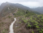 回望來路
DSC06045
