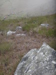 DSC06051