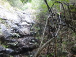 DSC06525