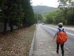 過石坑, 接仁義路, 經大&#22487;仔村, 出大網仔路轉左至大網仔村口停車場邊下午茶
DSC06530