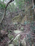 過壁後入林
DSC06907