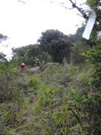 DSC06952