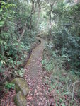 DSC06976
