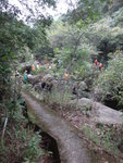 小路接入老鼠田坑
DSC06977
