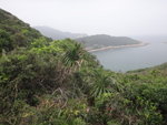DSC07062