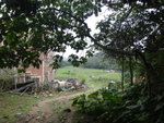 石屎路盡入白腊村
DSC07077