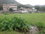 DSC07081