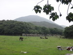 DSC07082