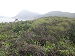 上山途中右望白虎山
DSC07085