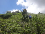 窮源穿林踏草坡上山
DSC07695