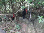 穿林入澗下降長屻坑
DSC07706