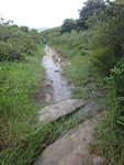 鹿湖郊遊徑
DSC07910