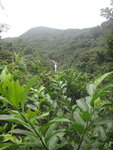 DSC07915