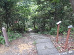 左落石級路, 續鹿湖郊遊徑
DSC07931
