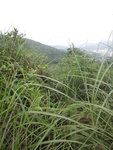 沿途找尋紅色布條路標
DSC08183