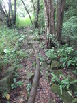 返回剛才出口處轉右沿水管路前行
DSC08193