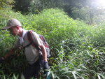 又要穿草叢, 不過草叢下係有路既
DSC08195