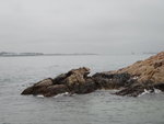 假人旁右望見海邊一石似一張口動物(恐龍或狗頭)
DSC07746