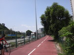單車路旁是吐露港公路
DSC09016