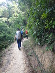 落天橋後轉左入一小徑往一晨運地下午茶, 茶後回青衣西路
DSC09813
