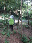 入青衣西路公園
DSC09819