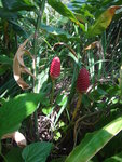 DSC00178