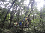 原來巨藤就在2號郊遊地點一角
DSC00319