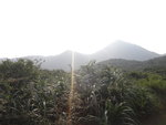 前望見大蚊山
DSC01150