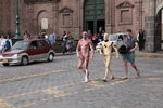 IMG_0500
