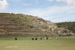 古戰場 (Sacsayhuaman)
IMG_0759c