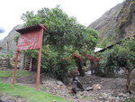 我地己進入Wayllabamba區, 有一張營地分佈圖
IMG_1175