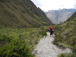 印加古道 - Wayllabamba (3000m) 往 Pacamayo (3600m)途中
IMG_1381