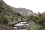 印加古道 - Wayllabamba (3000m) 往 Pacamayo (3600m)途中
IMG_1384