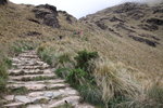 往Pacamayo 營地的印加古道長命落山石級路
IMG_1501