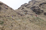 IMG_1502