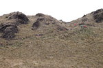 IMG_1509