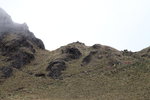 IMG_1510