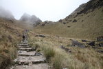 IMG_1517