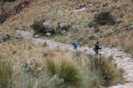 IMG_1519