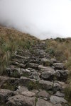 IMG_1526