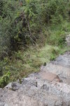 IMG_1793