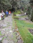 印加古道往Winaywayna途中
IMG_1881