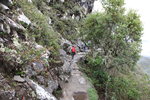 落馬丘比丘(Macchu Picchu)途中
IMG_2367