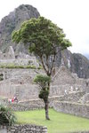 馬丘比丘古城(Macchu Picchu) 一角
IMG_2508