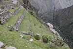 馬丘比丘古城(Macchu Picchu)中梯田
IMG_2587