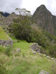 人頭山 (Huayna Picchu)
IMG_2633