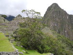 馬丘比丘古城(Macchu Picchu) & 人頭山 (Huayna Picchu)
IMG_2634