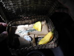 每人派發了些小食 (香蕉, 香蕉乾及Brazalian Nuts)在車程中食
IMG_2916