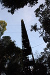 37m高的Canopy Tower
IMG_3003